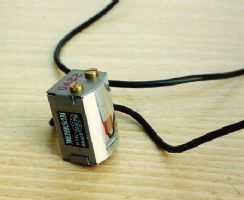 Ingrandisci l'immagine