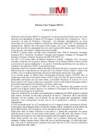 Ingrandisci l'immagine