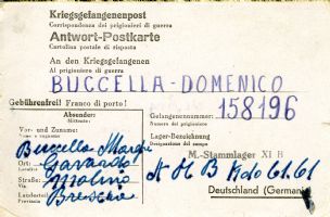 Ingrandisci l'immagine