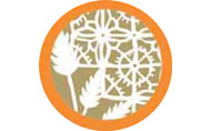 ??? Logo/TestoAlternativo ???