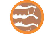 ??? Logo/TestoAlternativo ???