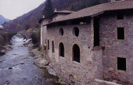 Esterni